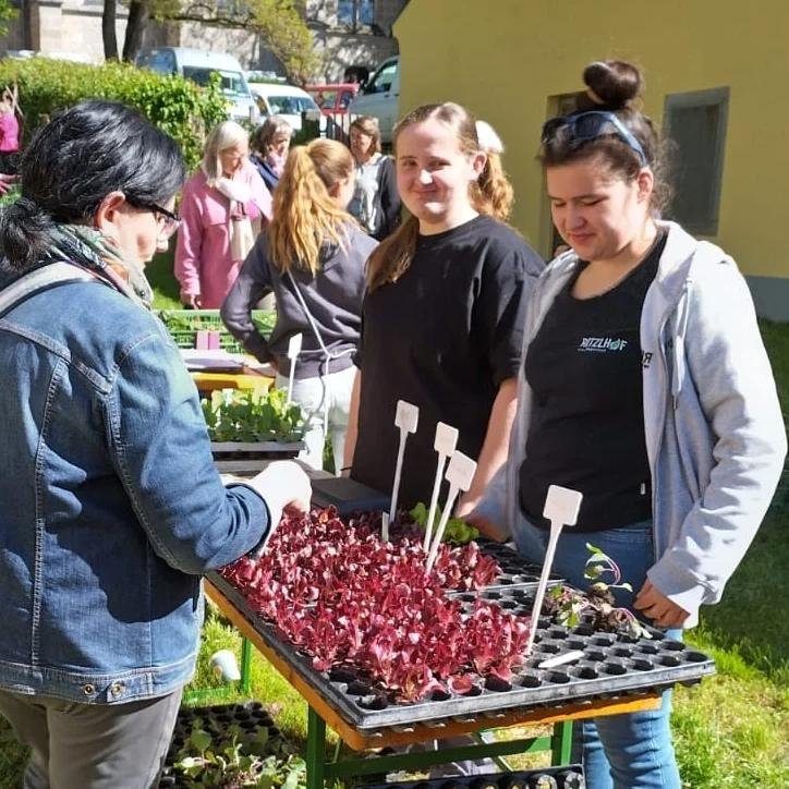 Schüler*innen beim Pflanzerlmarkt