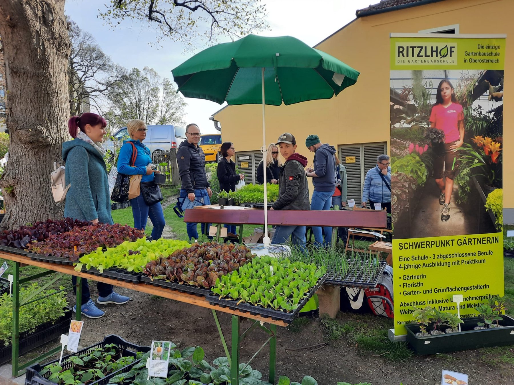 Schüler*innen präsentieren beim "Pflanzerlmarkt" ihre Produkte. Sie verkaufen unter anderem verschiedene Salatpflanzen